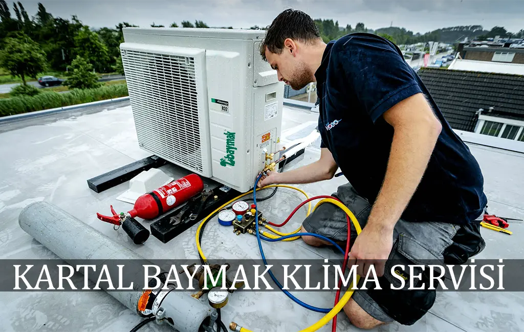 Kartal Baymak klima servisi